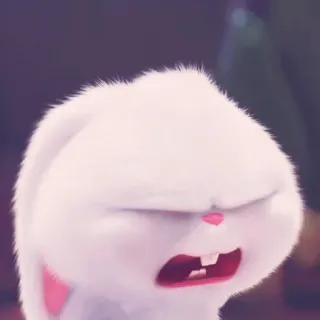 ☁️ Snowball The Secret Life of Pets animal, dessin animé, lapin, blanc, mignon, animal de compagnie whatsapp sticker