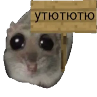 😀 утютютю 햄스터, 귀여운, 동물, 밈, 러시아, 텍스트 whatsapp sticker