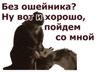 🐶 Без ошейника? Ну вот и хорошо, пойдем со мной anziana, pecora, animale, russo, animale domestico telegram sticker