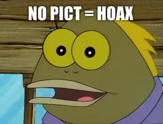 😏 NO PICT = HOAX spongebob, meme, ikan, hoax whatsapp sticker