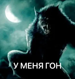 😈 У МЕНЯ ГОН loup-garou, monstre, nuit, lune, créature, fantaisie telegram sticker