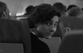 🕳 Timothée Chalamet attore, celebrità, ritratto, bianco e nero, uomo telegram sticker