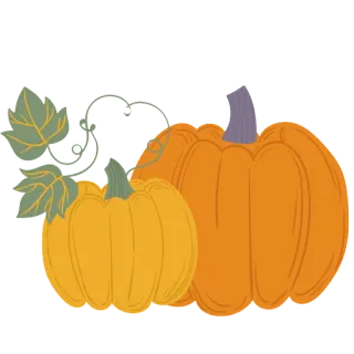 🍂 abóbora, outono, outono, colheita, laranja, vegetal, sazonal telegram sticker
