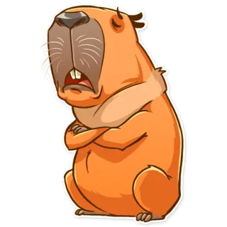 😩 คาปิบารา, สัตว์ฟันแทะ, สัตว์, น่ารัก, สติกเกอร์, การ์ตูน telegram sticker