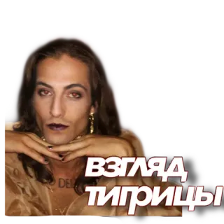 🦔 ВЗГЛЯД ТИГРИЦЫ telegram sticker