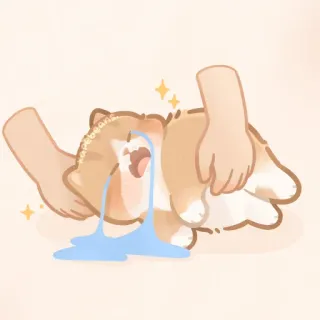 ✨ telegram sticker