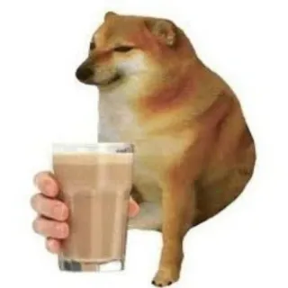 🐕 doge dog, meme, doge, drink, pet, animal, chocolate milk telegram sticker
