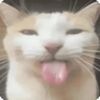 😛