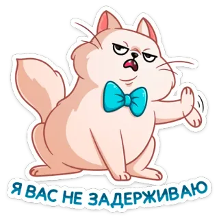 😤 Я ВАС НЕ ЗАДЕРЖИВАЮ кот, бабочка, неодобрение, выражение, наклейка, мультфильм telegram sticker