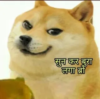 🌟 Doge सुन कर बुरा लगा ब्रो doge, meme, dog, hindi, sad, reaction telegram sticker