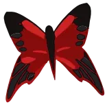 🦋