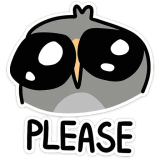 🦉 PLEASE động vật, dễ thương, cú mèo, van xin, cầu xin, yêu cầu, hoạt hình, chim telegram sticker