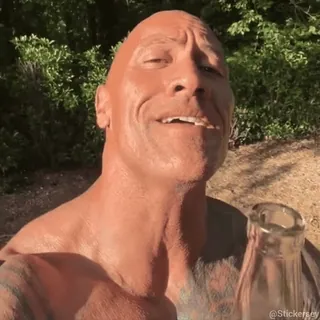 🥂 Dwayne Johnson 演员, 名人, 巨石强森, 道恩·强森 whatsapp sticker