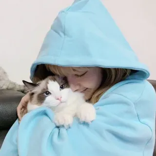 🐬 chat, animal de compagnie, femme, sweat à capuche, animal, ragdoll, mignon telegram sticker