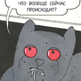 🤔 ЧТО ВООБЩЕ СЕЙЧАС ПРОИСХОДИТ? kucing, pertanyaan, bingung, rusia, gelembung ucapan whatsapp sticker