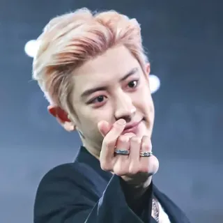 🐻 Park Chanyeol kpop, chanyeol, exo, chanteur, idole, acteur, signe coeur telegram sticker
