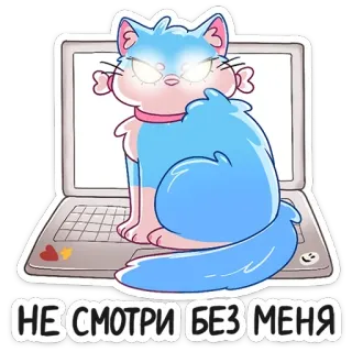👿 НЕ СМОТРИ БЕЗ МЕНЯ кот, ноутбук, милый, наклейка, животное, компьютер whatsapp sticker