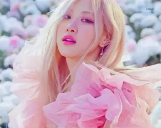 🌹 Rose kpop, cantante, rosa, rosado, flores, música, celebridad, mujer whatsapp sticker