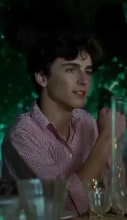 🖤 Timothée Chalamet actor, portrait, celebrity, man, person telegram sticker
