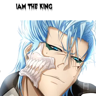 😏 Grimmjow Jaegerjaquez Bleach anime, manga, character, grimmjow, jaegerjaquez telegram sticker