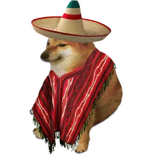 🇲🇽 犬, ソンブレロ, ポンチョ, メキシコ, Cheems telegram sticker