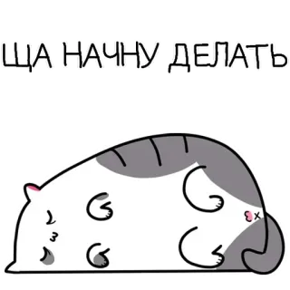 🛎 ЩА НАЧНУ ДЕЛАТЬ แมว, ขี้เกียจ, นอนหลับ, สัตว์, การ์ตูน, น่ารัก telegram sticker