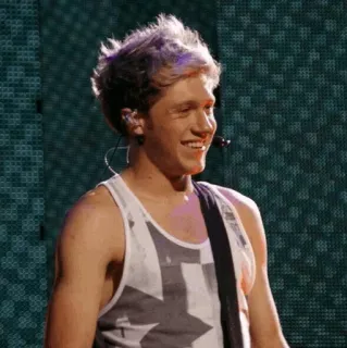 ✨ Niall Horan ไนออล ฮอแรน, One Direction, นักร้อง, นักดนตรี, คนดัง telegram sticker