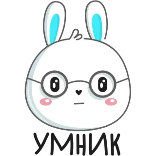 🤓 Hase, Häschen, Brille, süß, Aufkleber telegram sticker