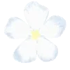 ☆ @emoji1 ★ telegram emojis 🌸