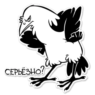 ❔ СЕРЬЁЗНО? 까마귀, 새, 진지한, 질문, 러시아 telegram sticker