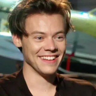 🌿 Harry Styles personne, chanteur, célébrité, homme, portrait telegram sticker