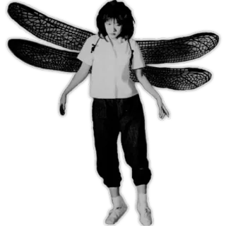 🦋 mujer, alas, libélula, persona, insecto, chica telegram sticker