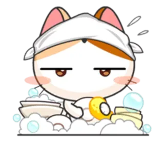 🍽 gato, fofo, sabão, banho, limpeza, bolhas telegram sticker