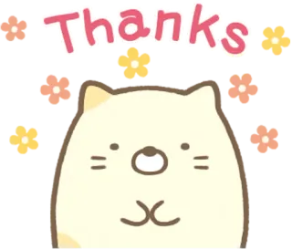 🙏 Thanks dziękuję, kot, słodki, uroczy, pokrzepiający, wdzięczny telegram sticker