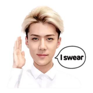 🙋‍♂️ I swear swear, promise, hand gesture, person, exclamation whatsapp sticker