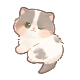 ✨ kucing, anak kucing, imut, hewan, stiker, hewan peliharaan, kucing domestik, mengedipkan mata whatsapp sticker