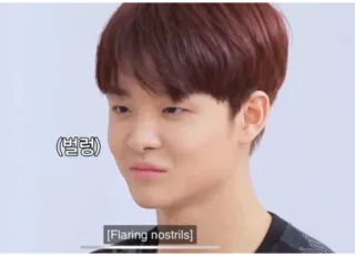 😤 벌렁 coreano, narici dilatate, faccia, espressione, asiatico whatsapp sticker