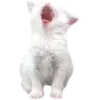 🐈