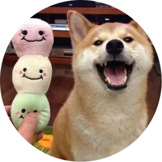 😃 犬, 柴犬, 可愛い, 動物, ペット, 団子, 食べ物 telegram sticker