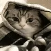 ☺️