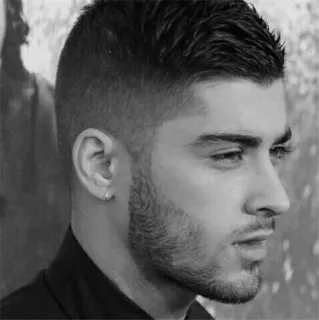▪️ Zayn Malik zayn malik, ca sĩ, chân dung, đàn ông, người nổi tiếng telegram sticker
