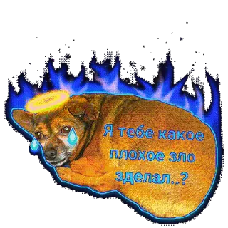 😢 Я тебе какое плохое зло сделал..? dog, sad, crying, tears, halo, blue flames, question telegram sticker