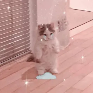 😭 кот, котёнок, грустный, плачет, облако, милый, слезы, каваий telegram sticker