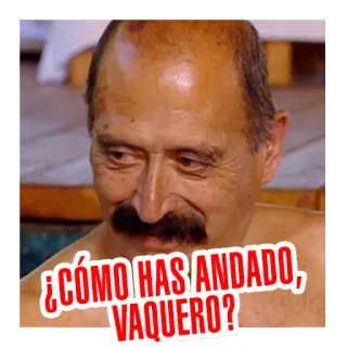 😏 ¿CÓMO HAS ANDADO, VAQUERO? Mann, Schnurrbart, Spanisch, Gruß, Vaquero, Wie geht's, Cowboy whatsapp sticker