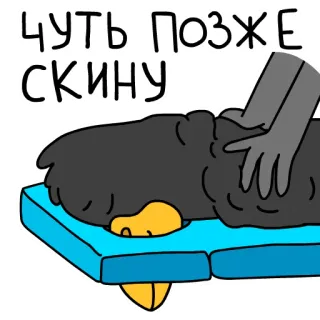 💆‍♂️ ЧУТЬ ПОЗЖЕ СКИНУ dog, cute, massage, soon whatsapp sticker