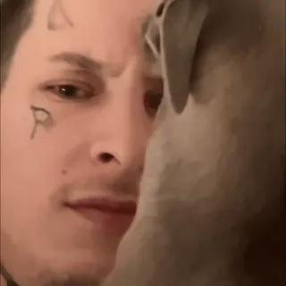 👅 uomo, cane, tatuaggio, ritratto, animale, faccia telegram sticker