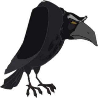 👀 wrona, ptak, czarny, kreskówka, zwierzę telegram sticker