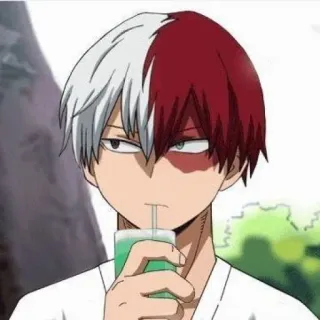 🙄 Shoto Todoroki My Hero Academia อนิเมะ, มังงะ, ตัวละคร, โชโตะ โทโดโรกิ, มายฮีโร่ อคาเดเมีย telegram sticker
