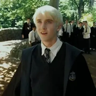 🐍 Draco Malfoy Harry Potter Draco Malfoy, Harry Potter, Slytherin, mago, magia whatsapp sticker