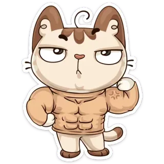 💪 고양이, 동물, 근육질, 힘주는, 화난 telegram sticker